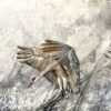 CRANES IN THE MIST