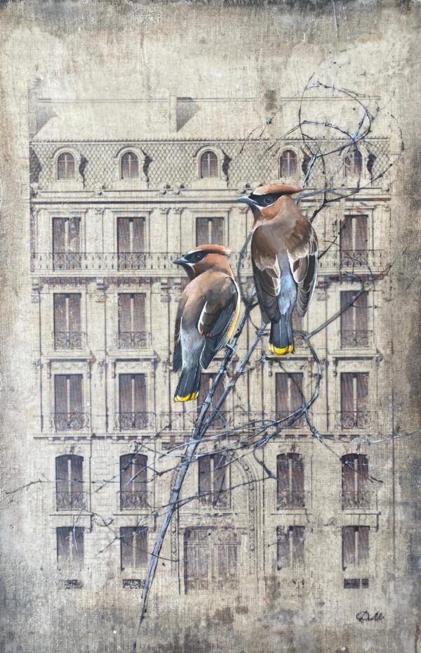 WAXWINGS ON WINDOWS