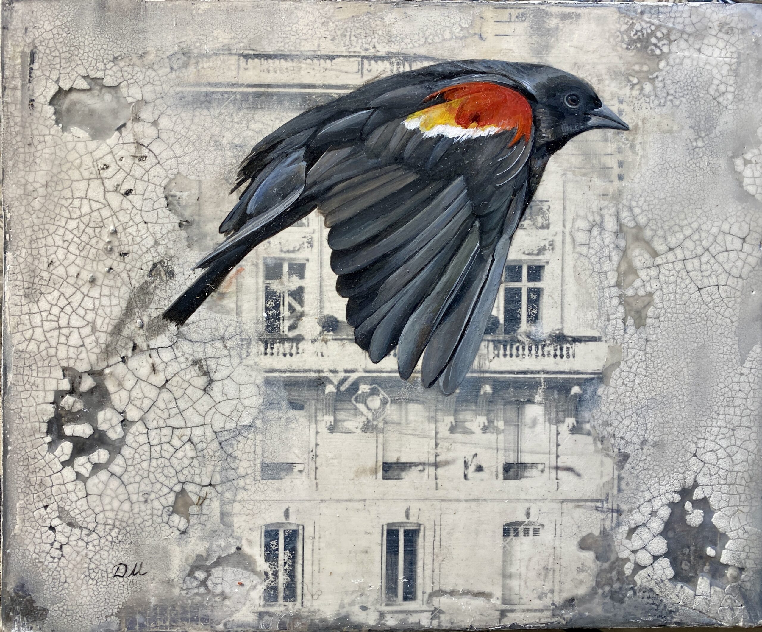 IN FLIGHT