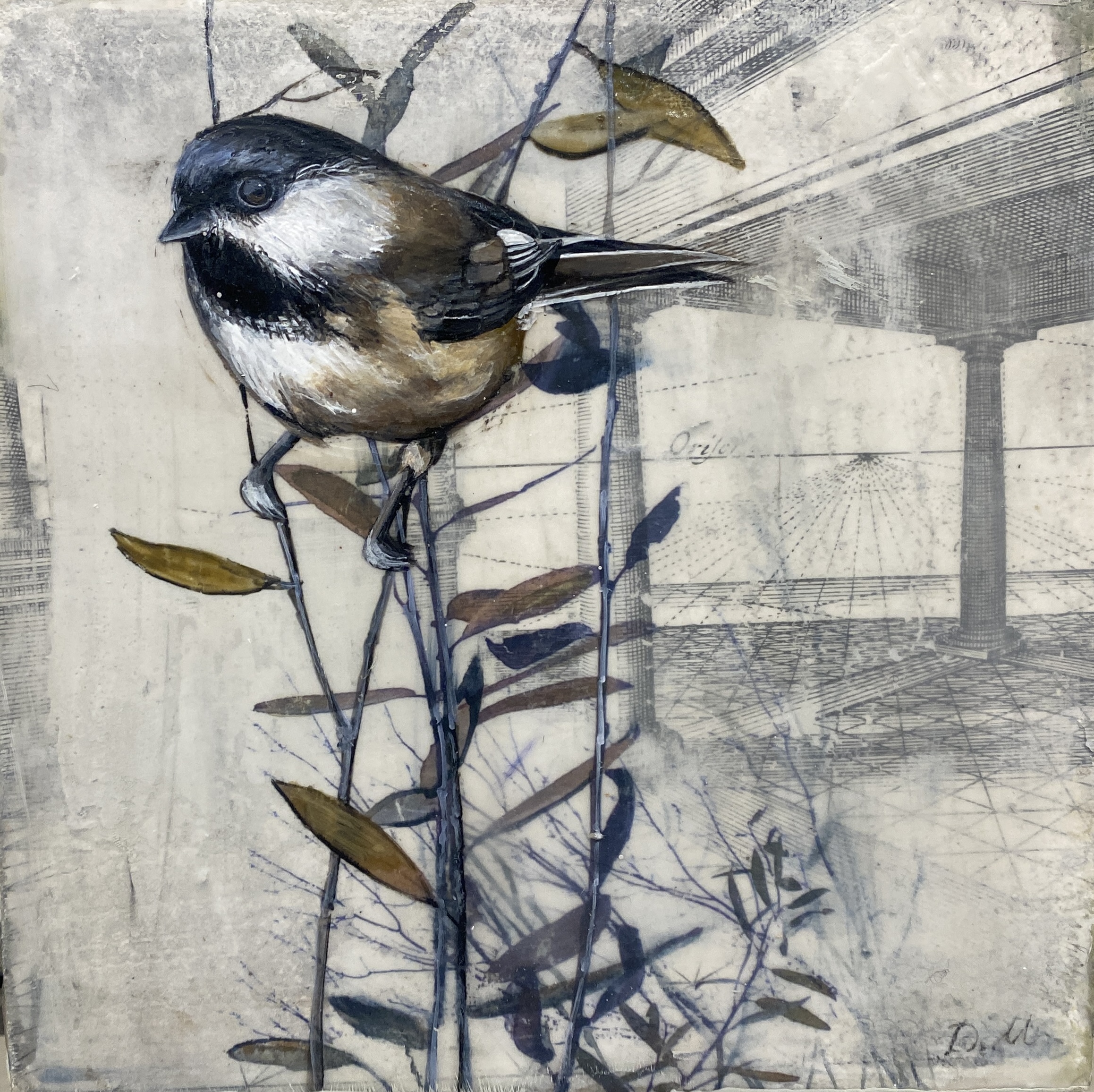 LITTLE CHICKADEE II