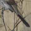 BELL'S SPARROW II
