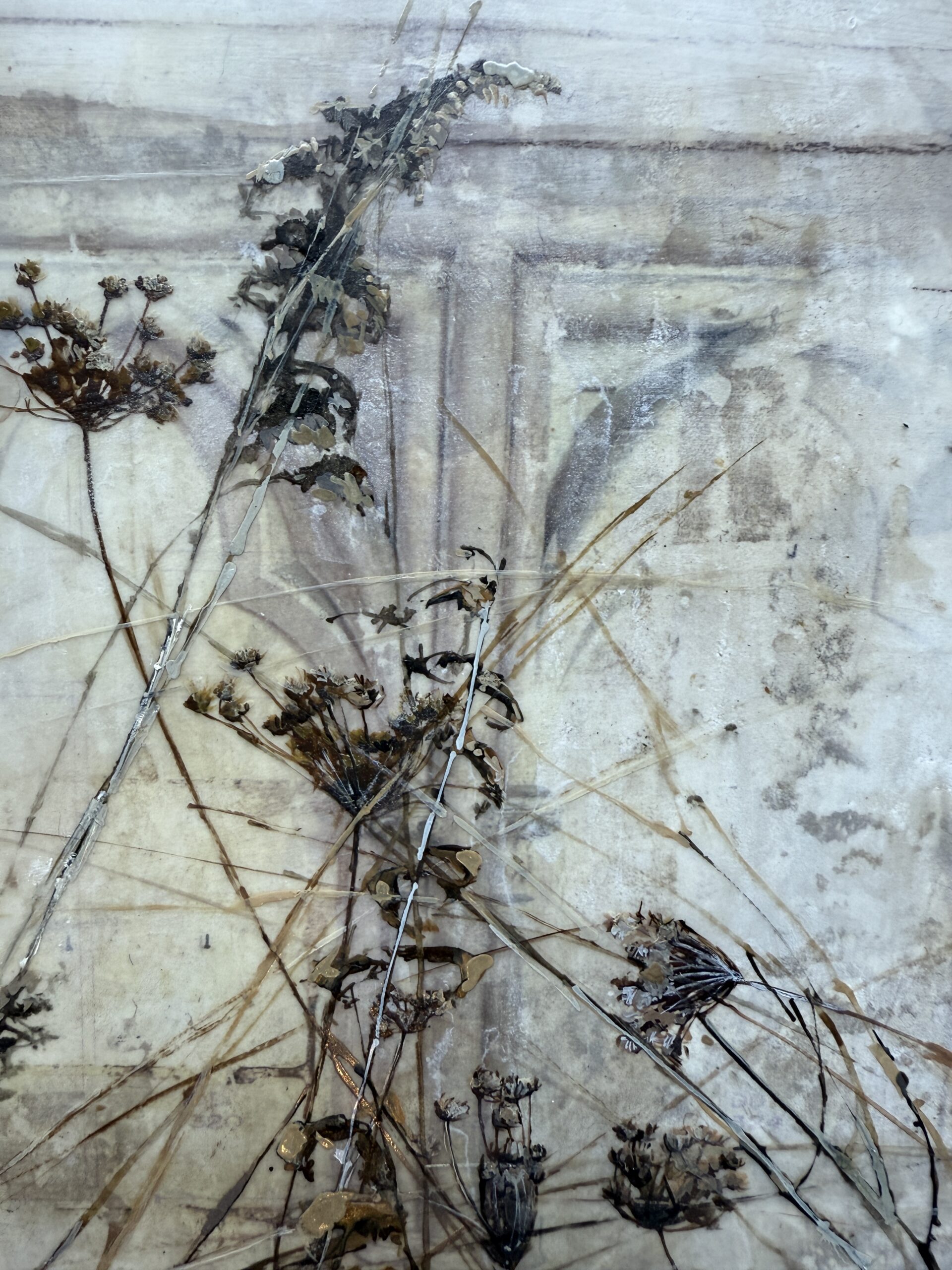 Grasses on Map