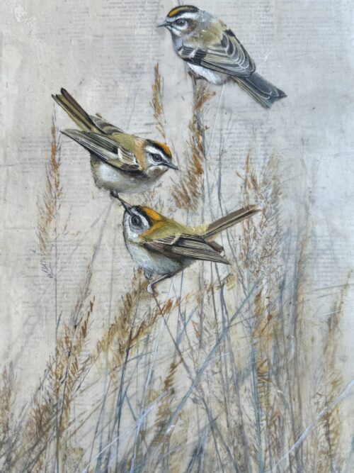 YELLOW GRASSES AND YELLOW BIRDS