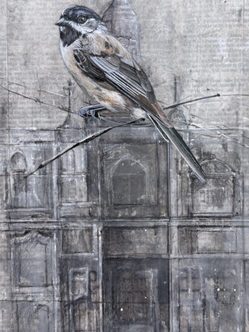 chickadee on drawing