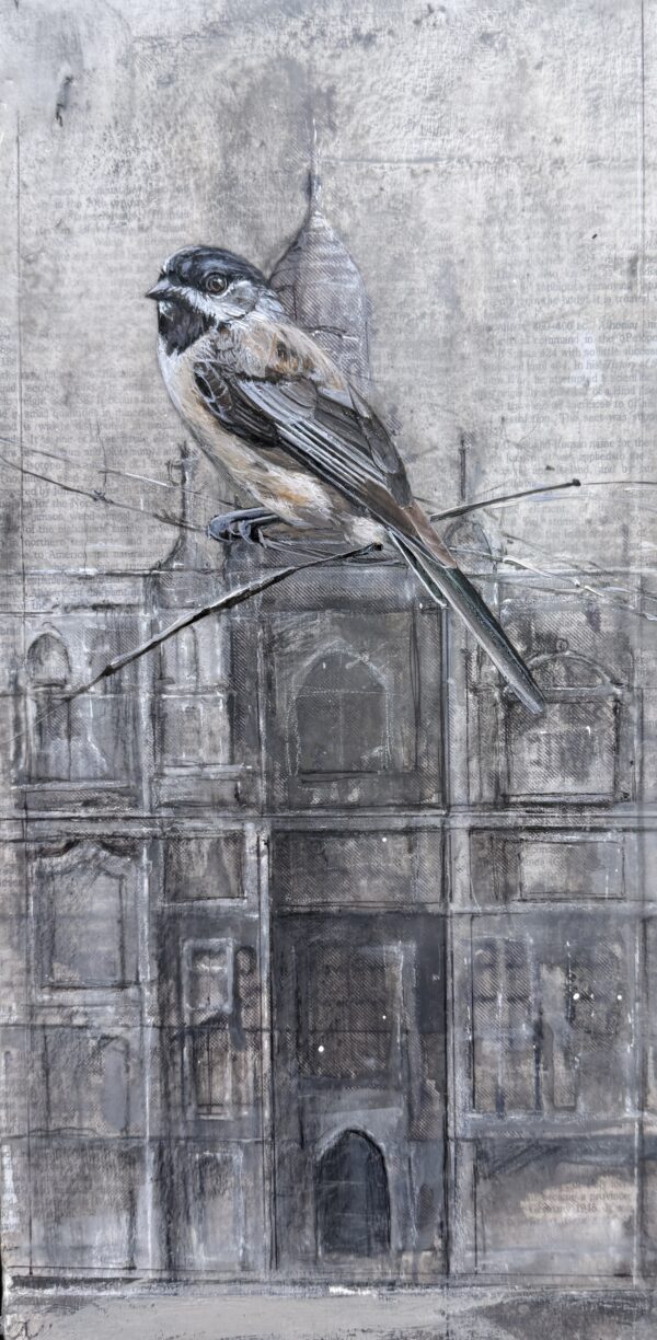 chickadee on drawing