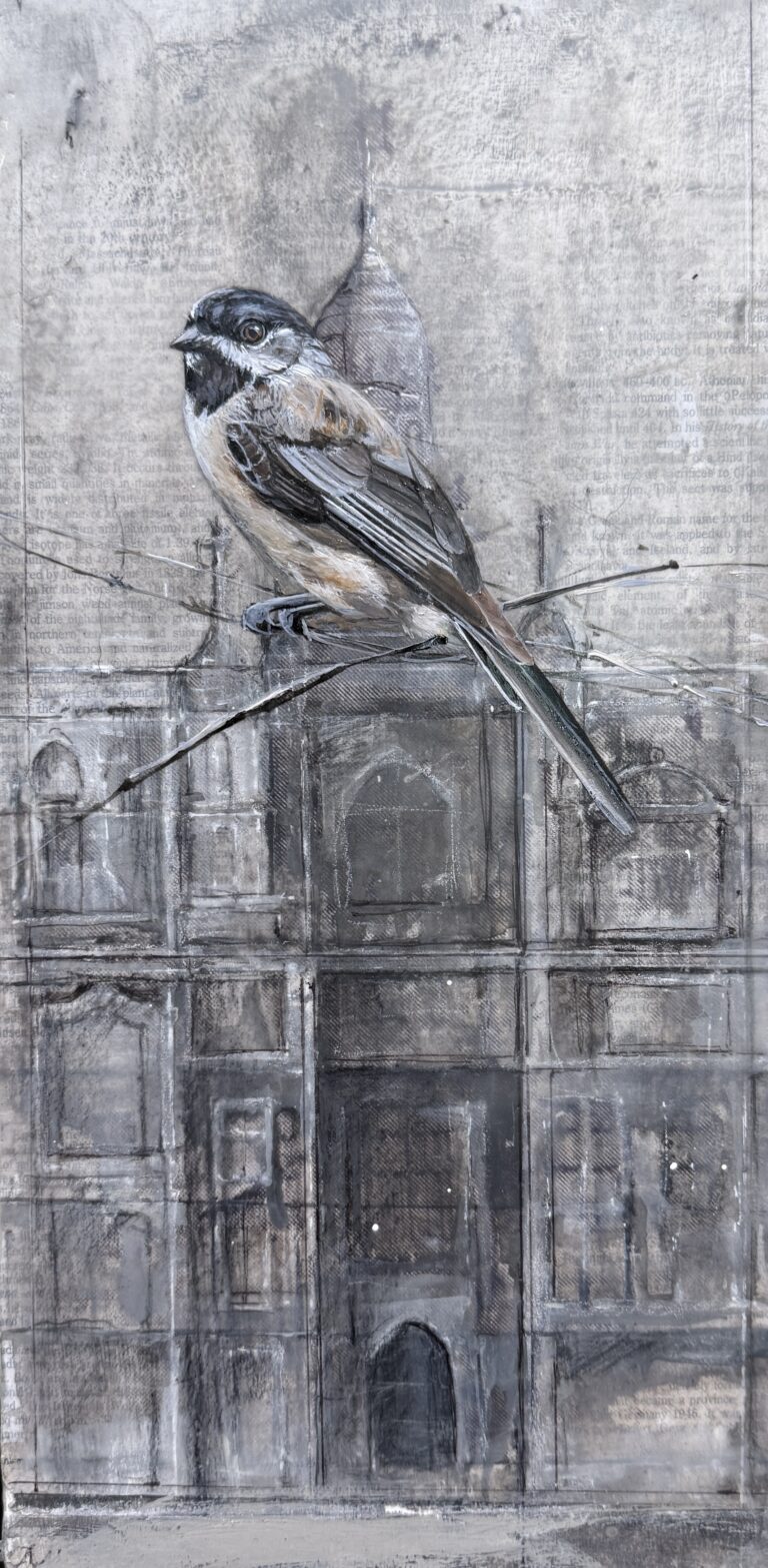 chickadee on drawing