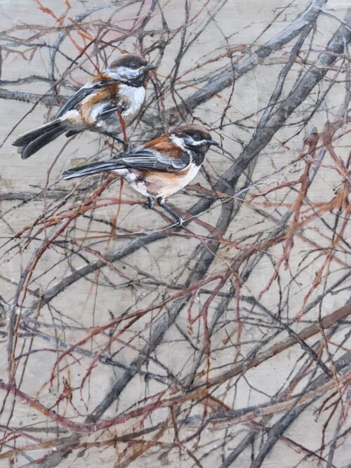in the branches (chickadees)