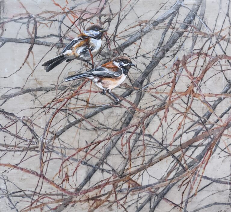 in the branches (chickadees)