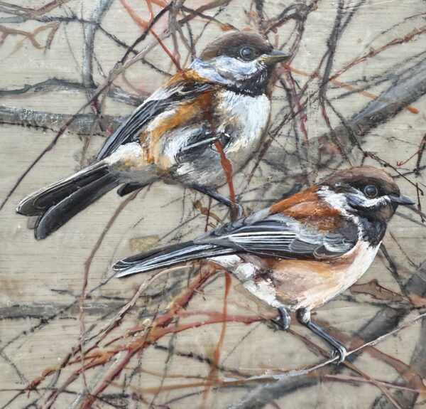 in the branches (chickadees)