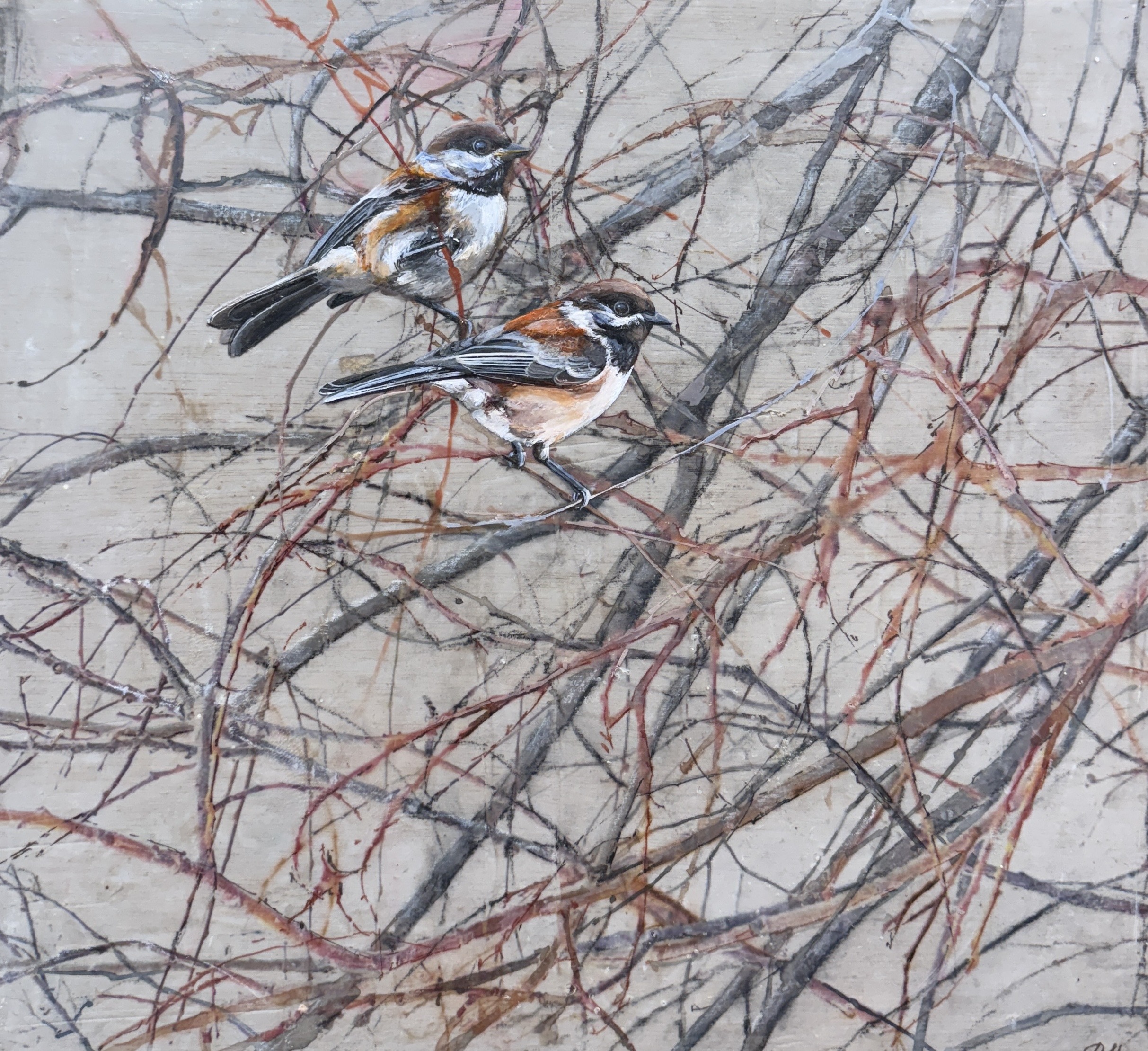 in the branches (chickadees)