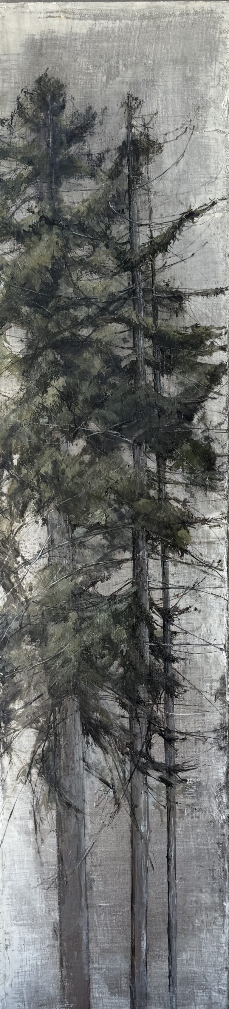 Redwood on Linen II