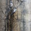 sparrows on drawing