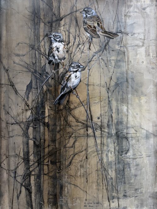 sparrows on drawing