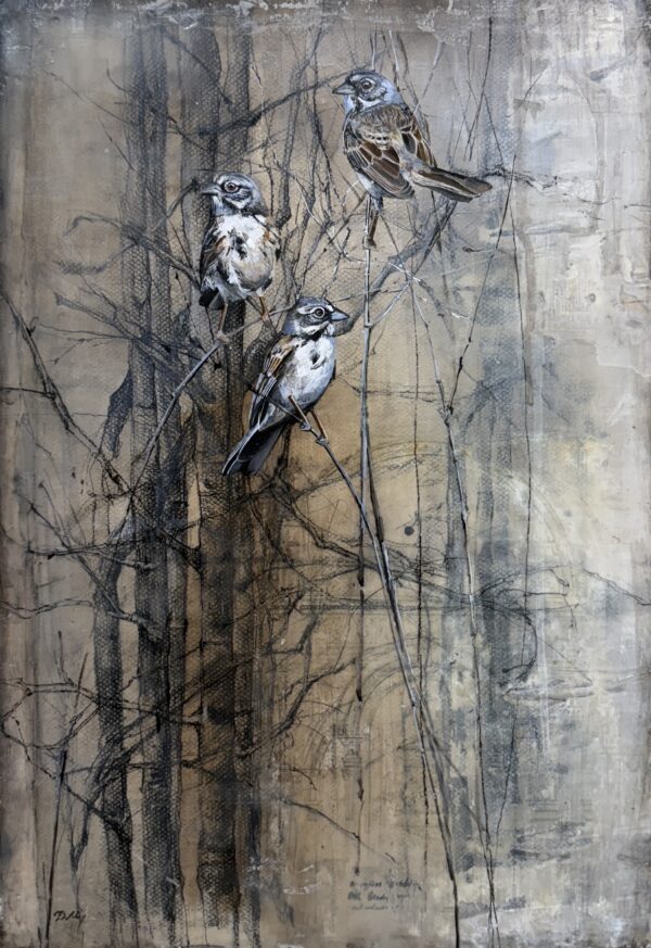 sparrows on drawing