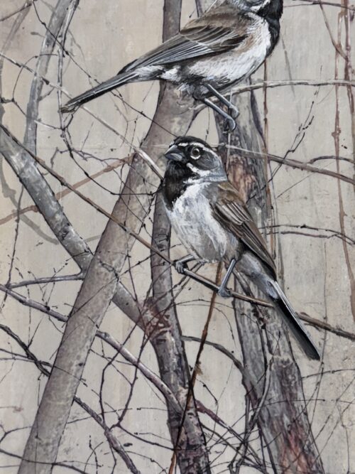 sparrows on gray wood i