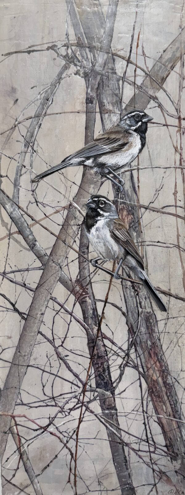 sparrows on gray wood i