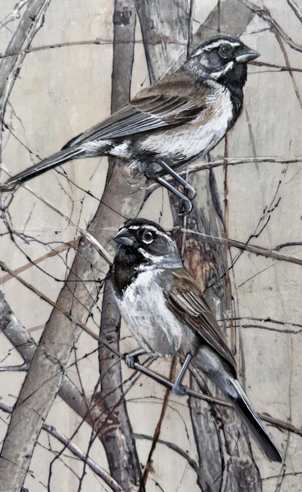 sparrows on gray wood i