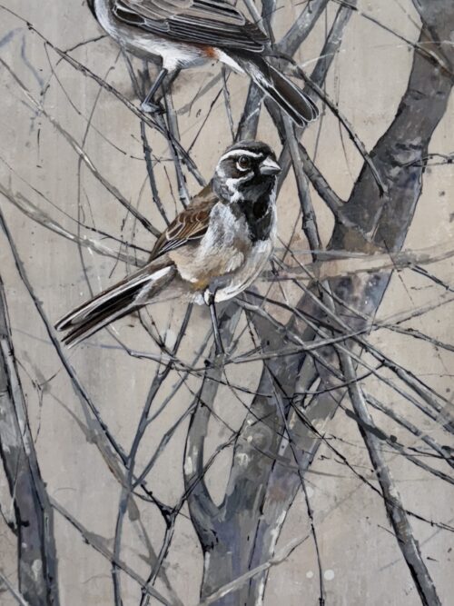 sparrows on gray wood ii