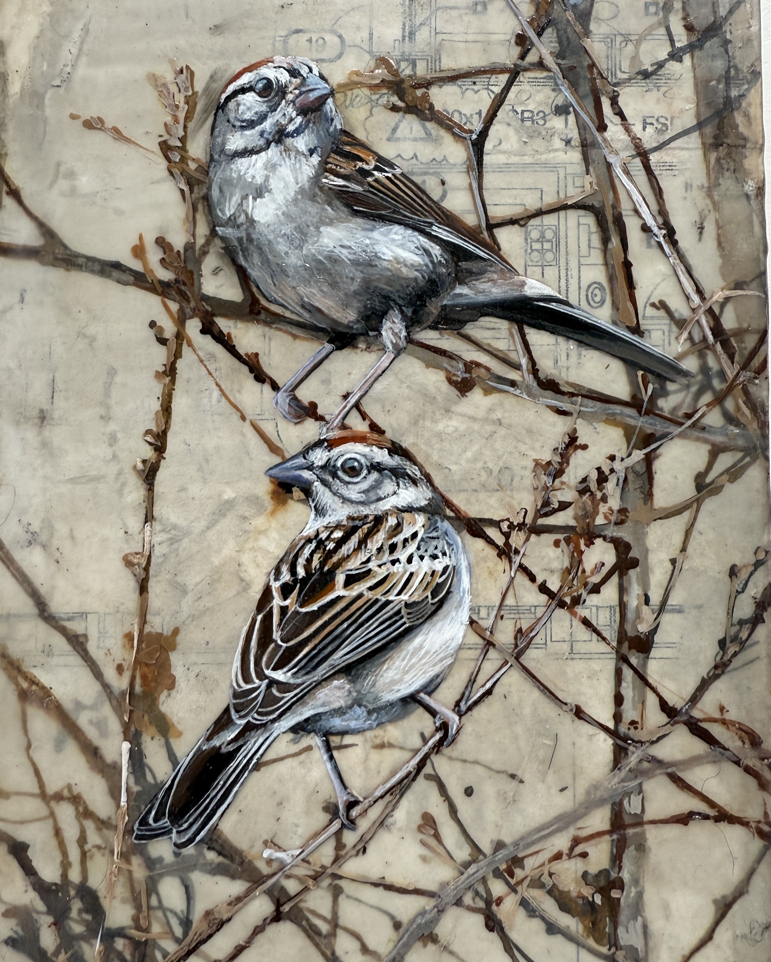 SPARROWS ON OAK BRANCHES
