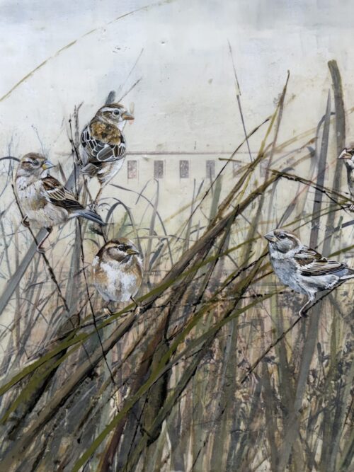 SPARROWS IN THE CATTAILS