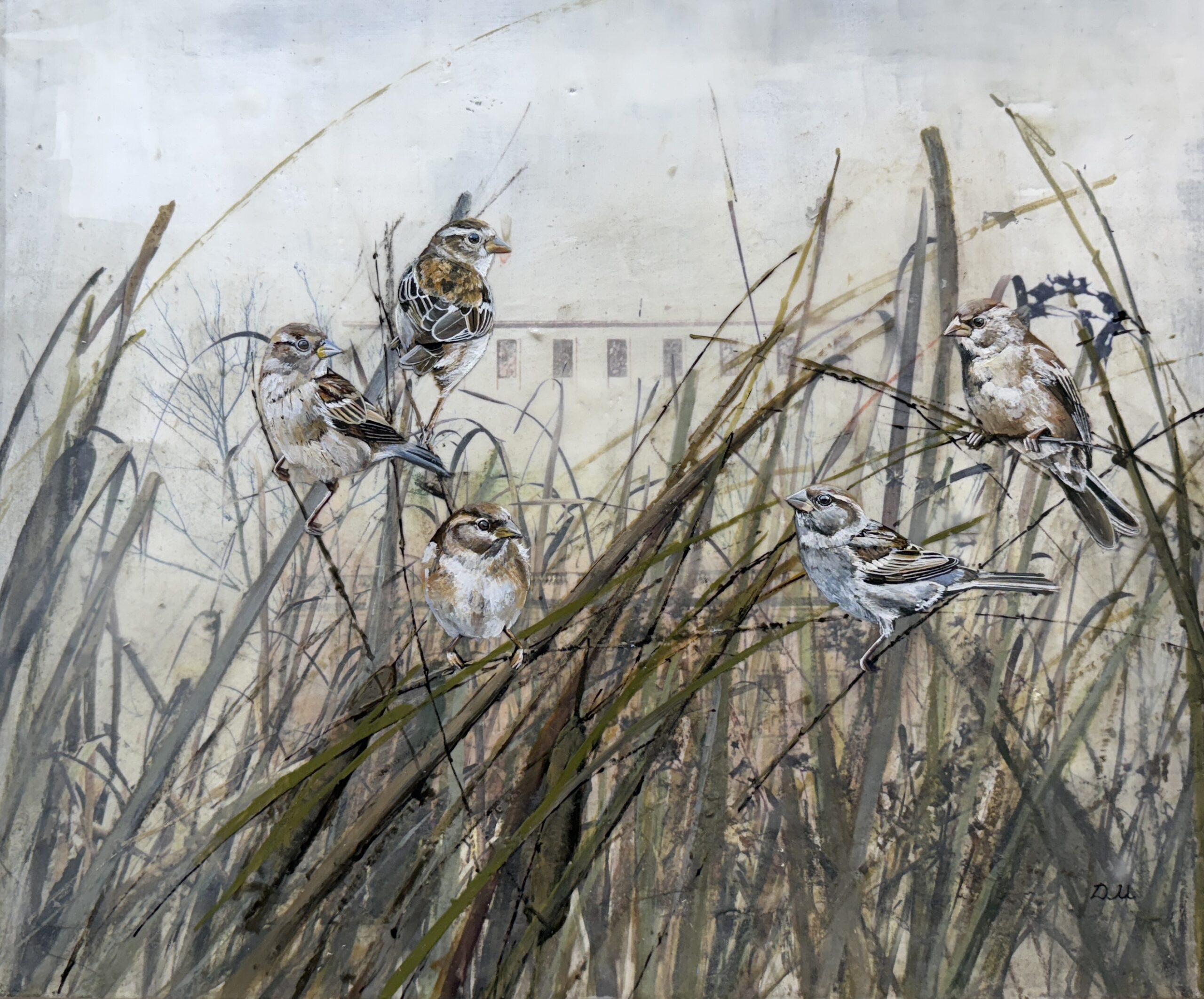 SPARROWS IN THE CATTAILS