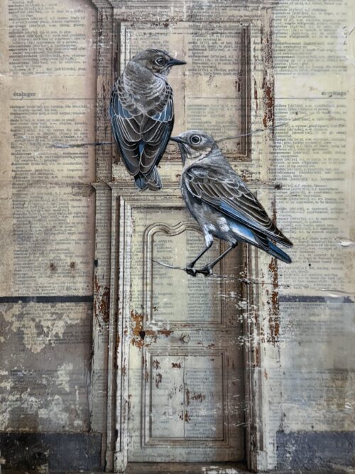 DOOR somewhere in france