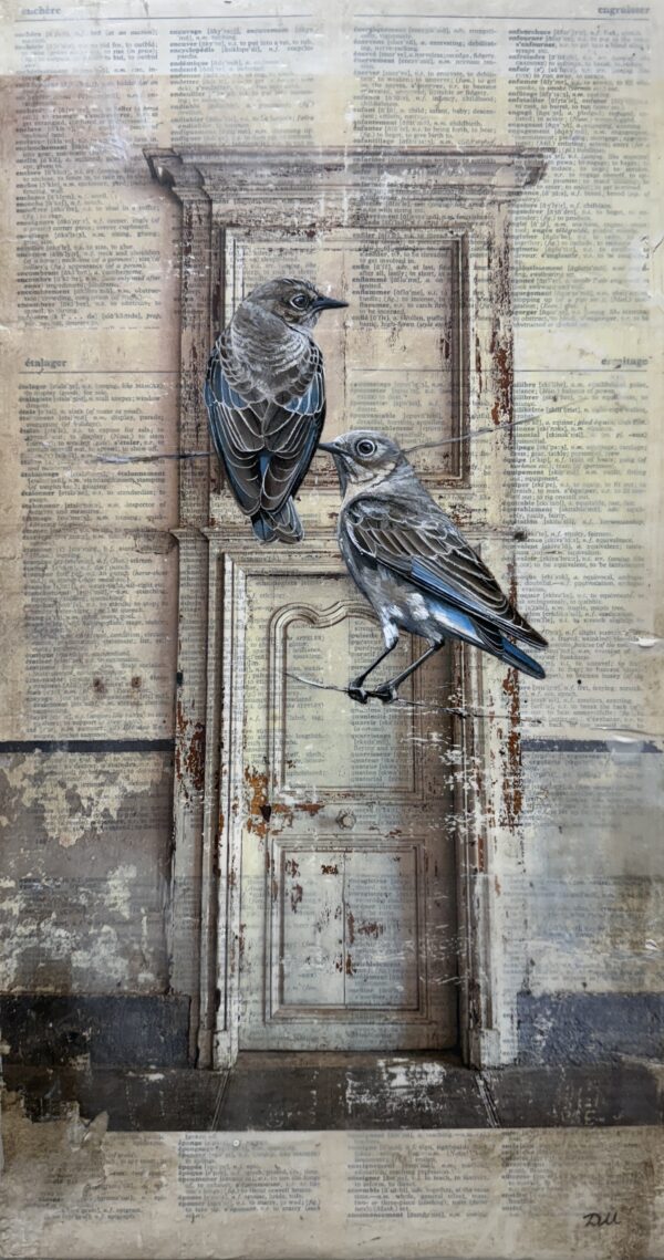 DOOR somewhere in france