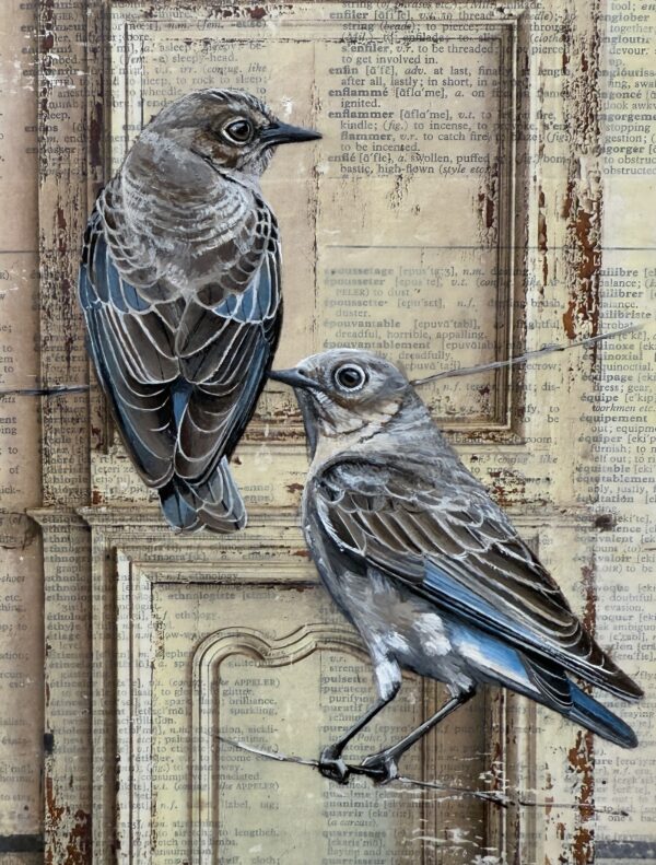 DOOR somewhere in france