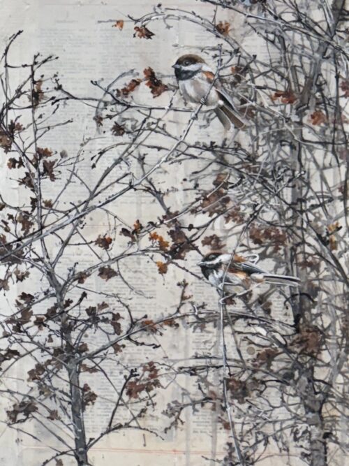 Oak sapling last fall I