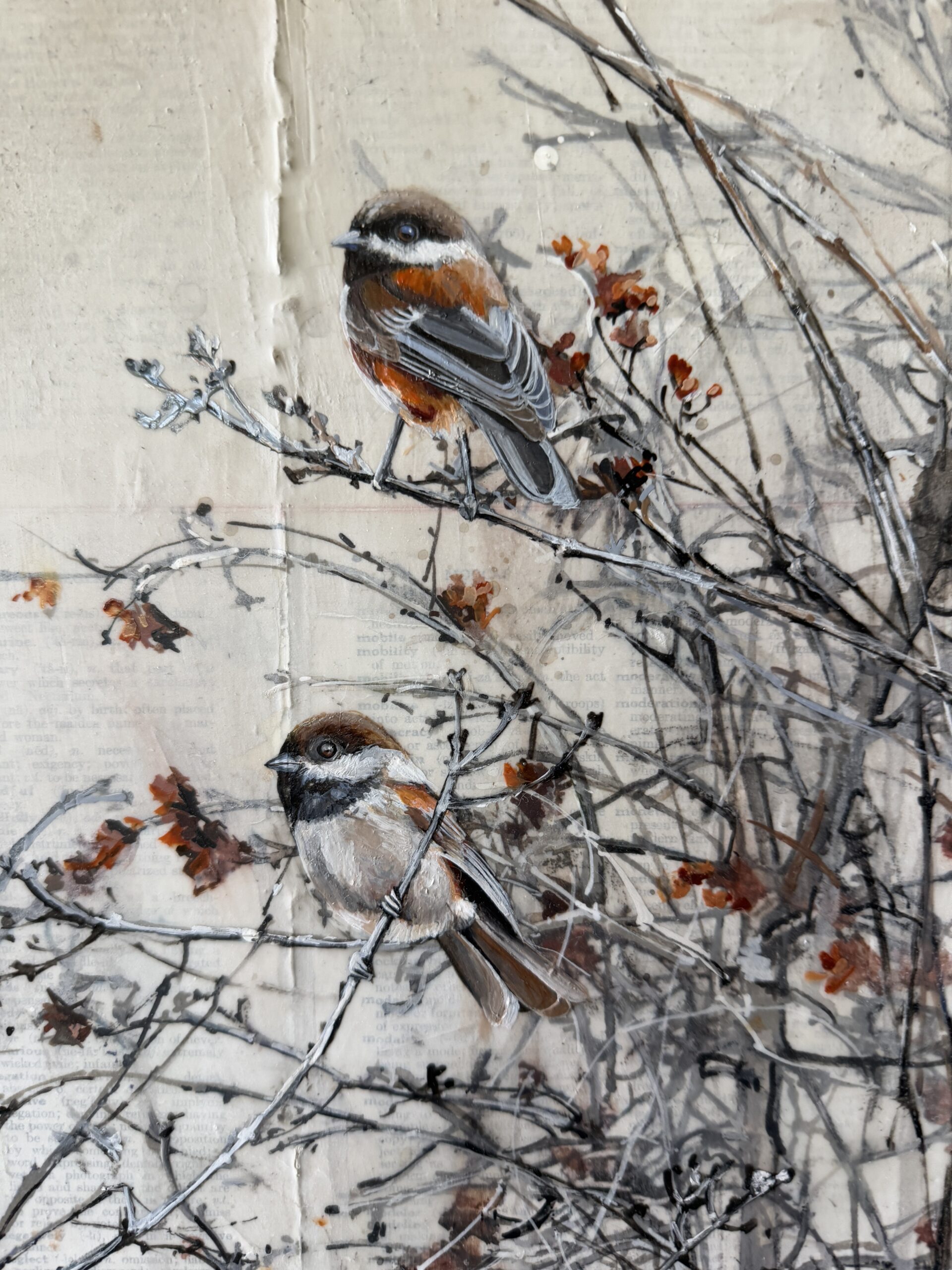 Oak sapling last fall I