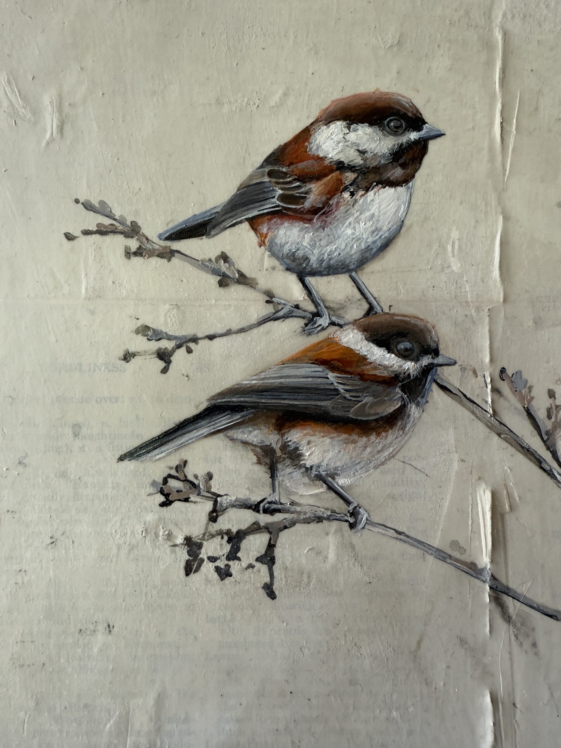 Oak sapling last fall I