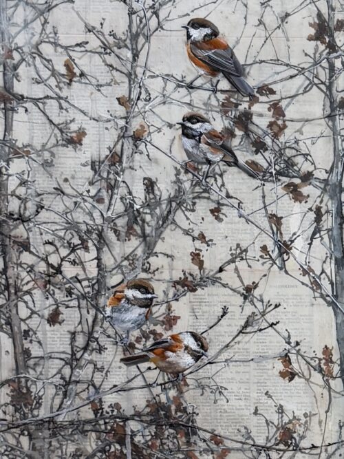 Oak sapling last fall II