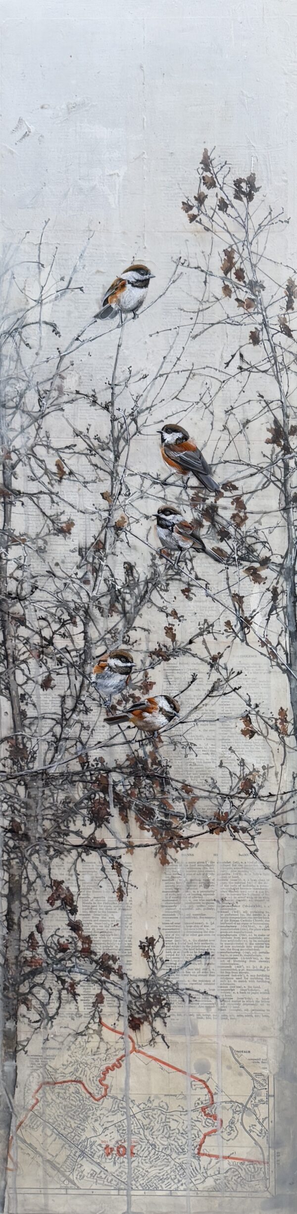 Oak sapling last fall II