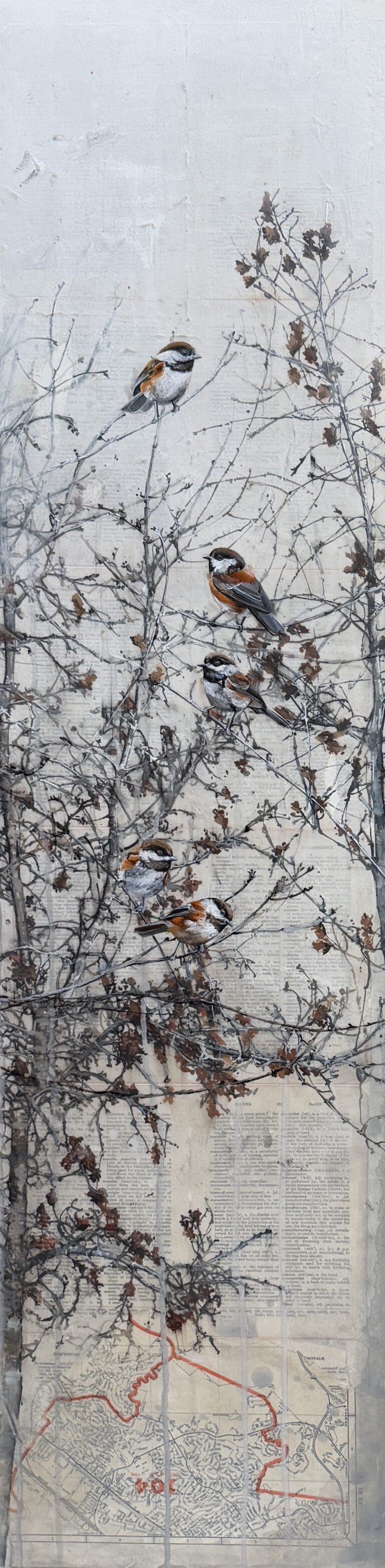 Oak sapling last fall II