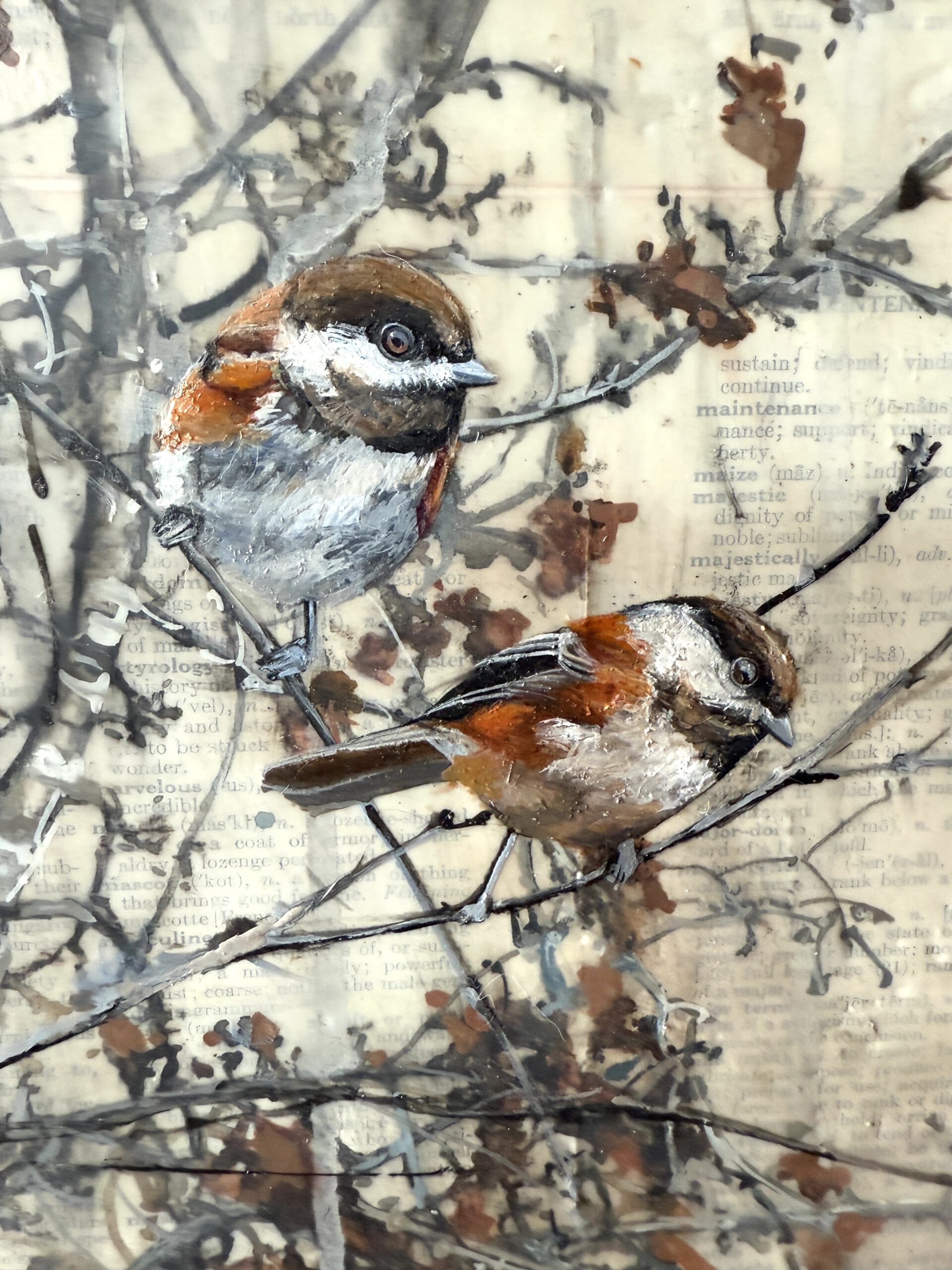 Oak sapling last fall II