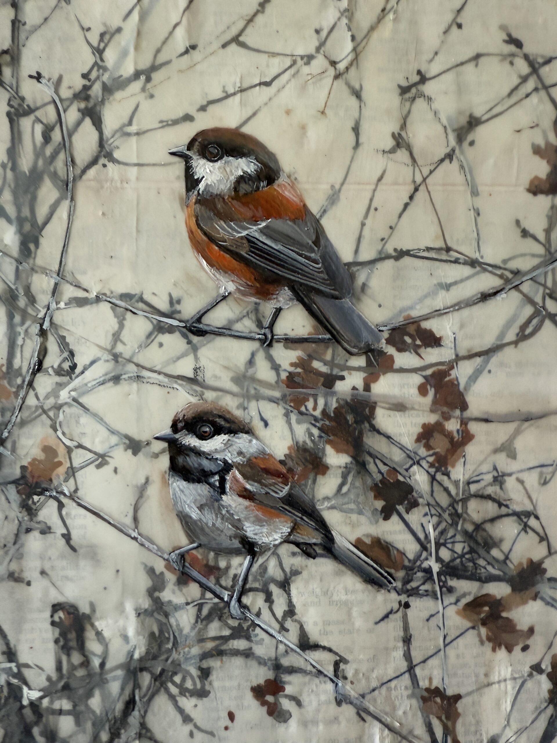 Oak sapling last fall II