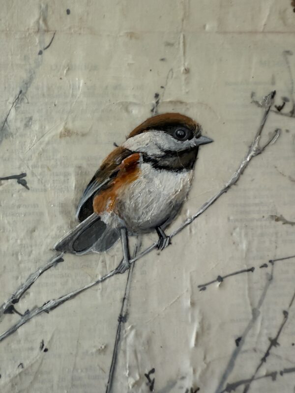 Oak sapling last fall II