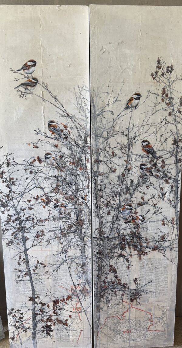 Oak sapling last fall II