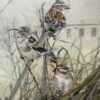SPARROWS IN THE CATTAILS