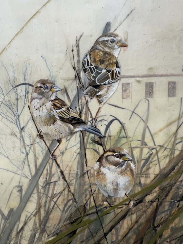 SPARROWS IN THE CATTAILS