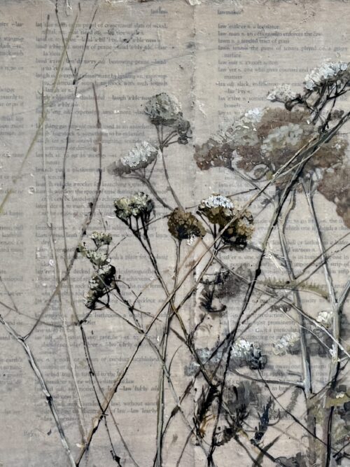 Yarrow on dictionary pages