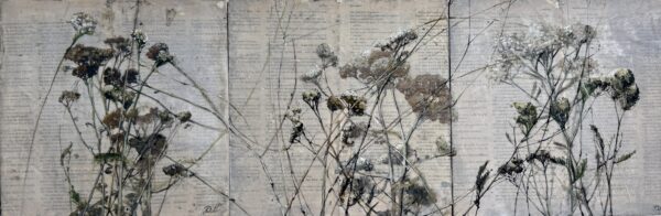 Yarrow on dictionary pages