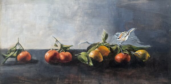 still life with citrus