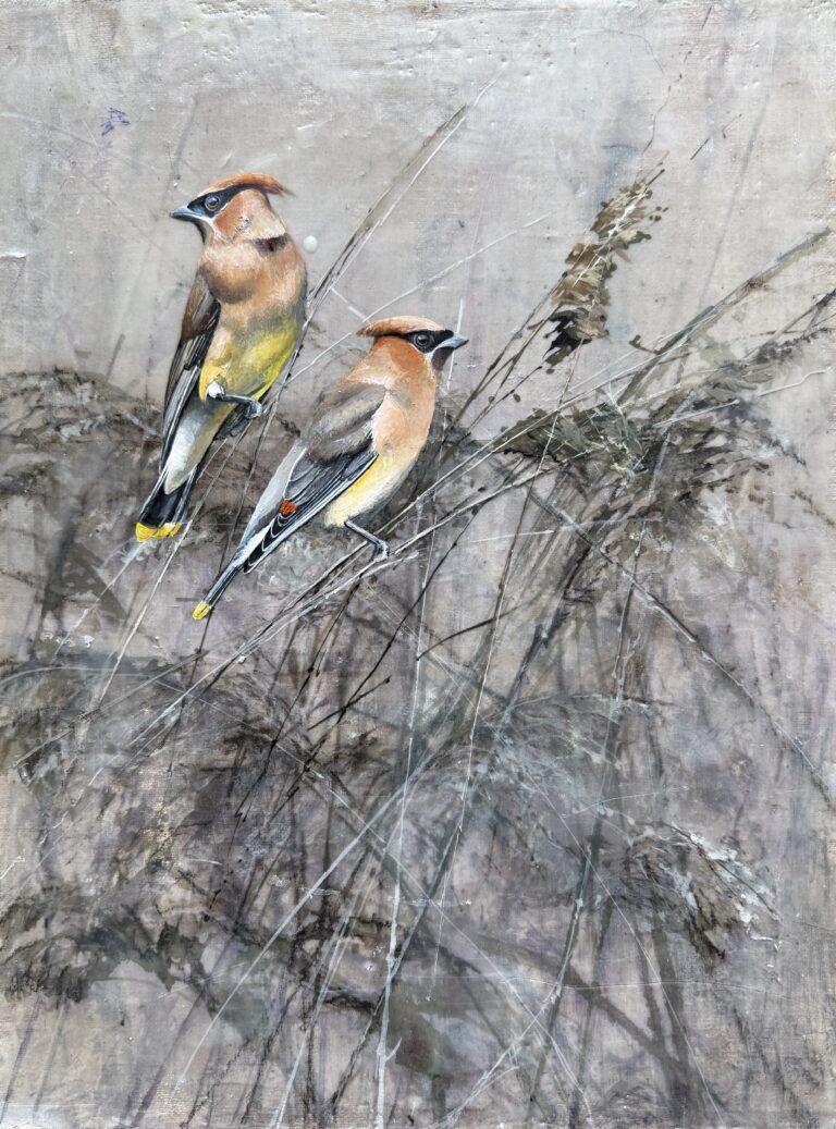 pair of waxwings