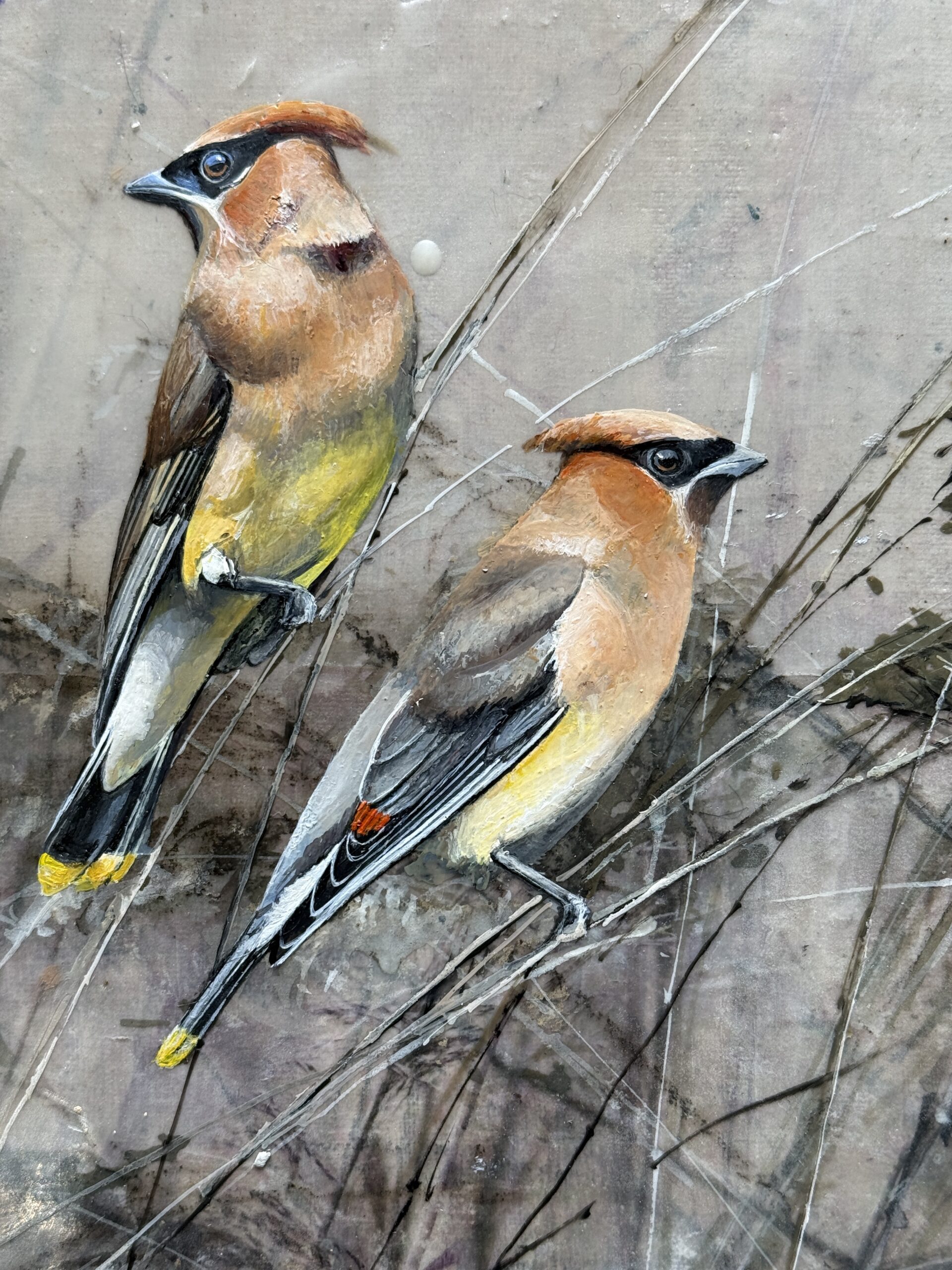 pair of waxwings