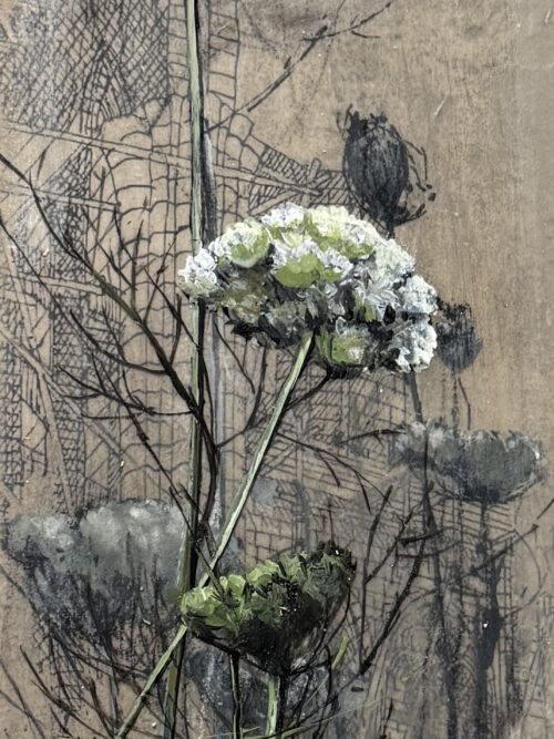 Queen Anne Lace II