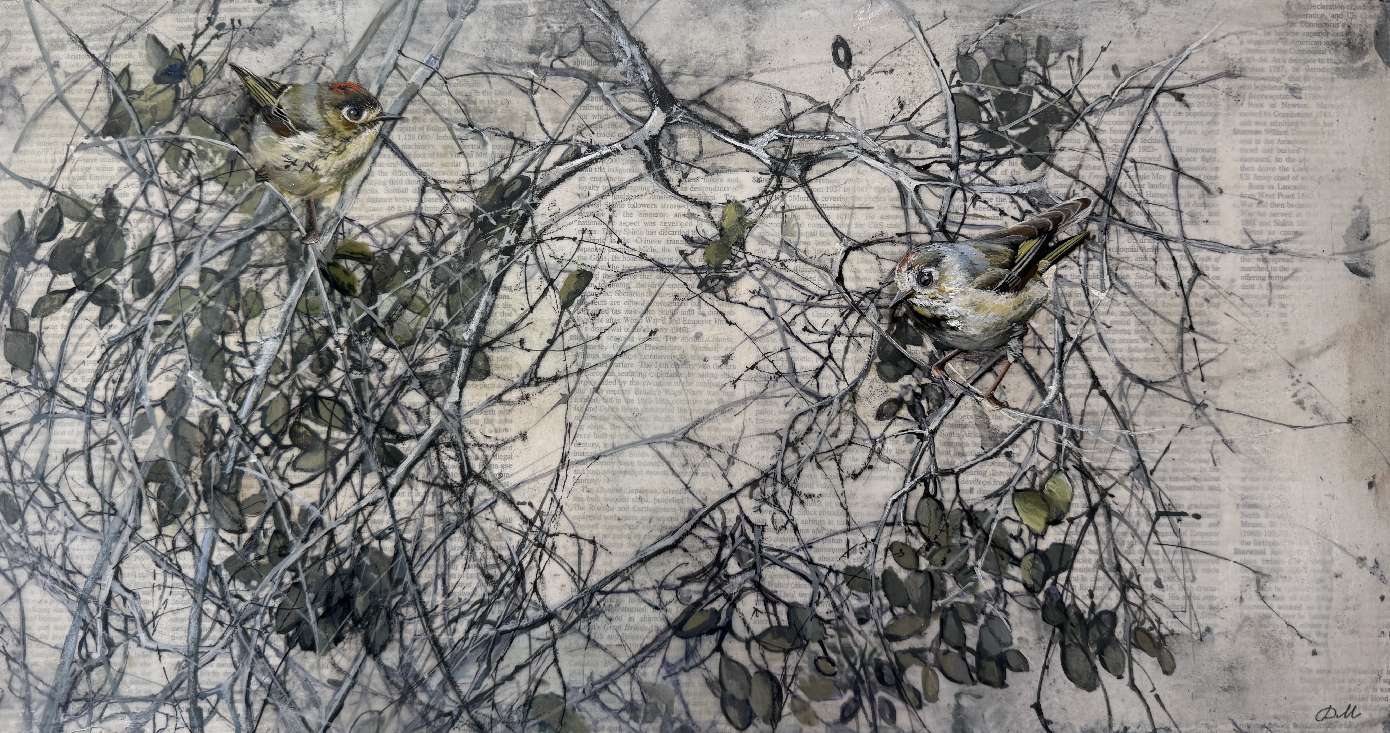 hidden in the oak branches