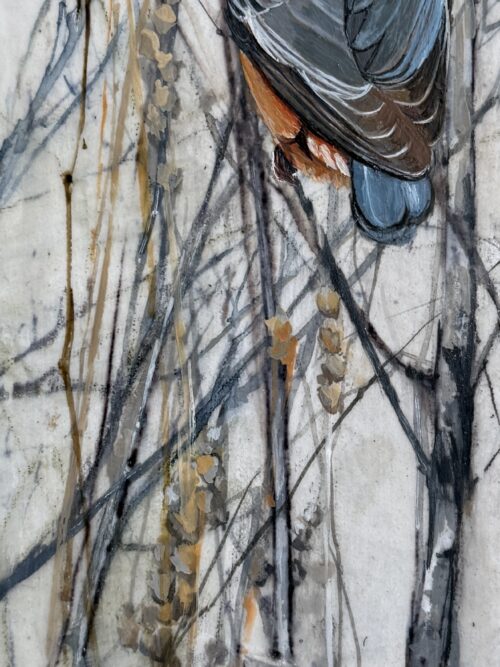 little nuthatch