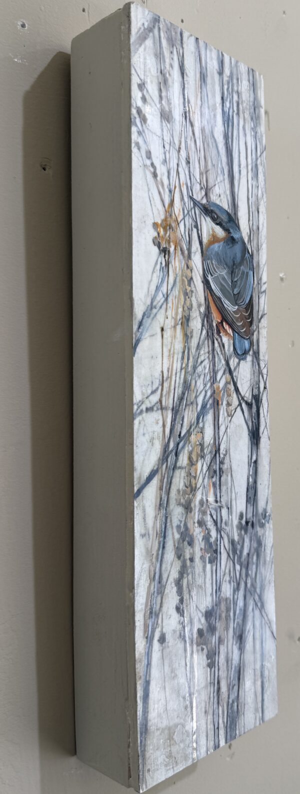 little nuthatch