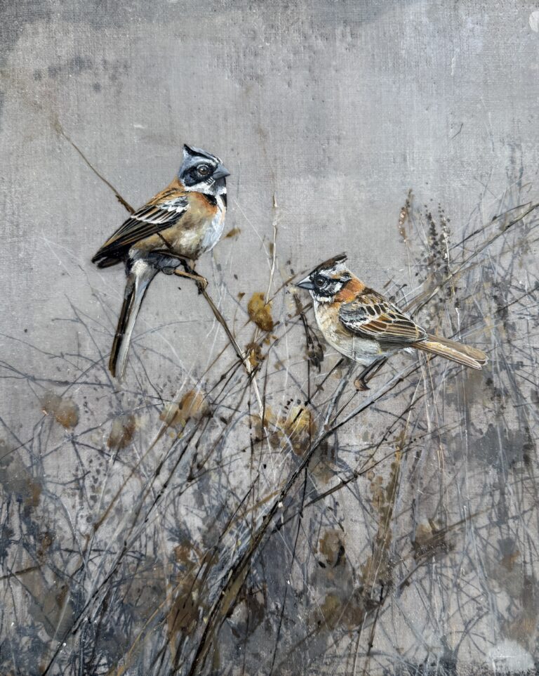 pair of sparrows on linen